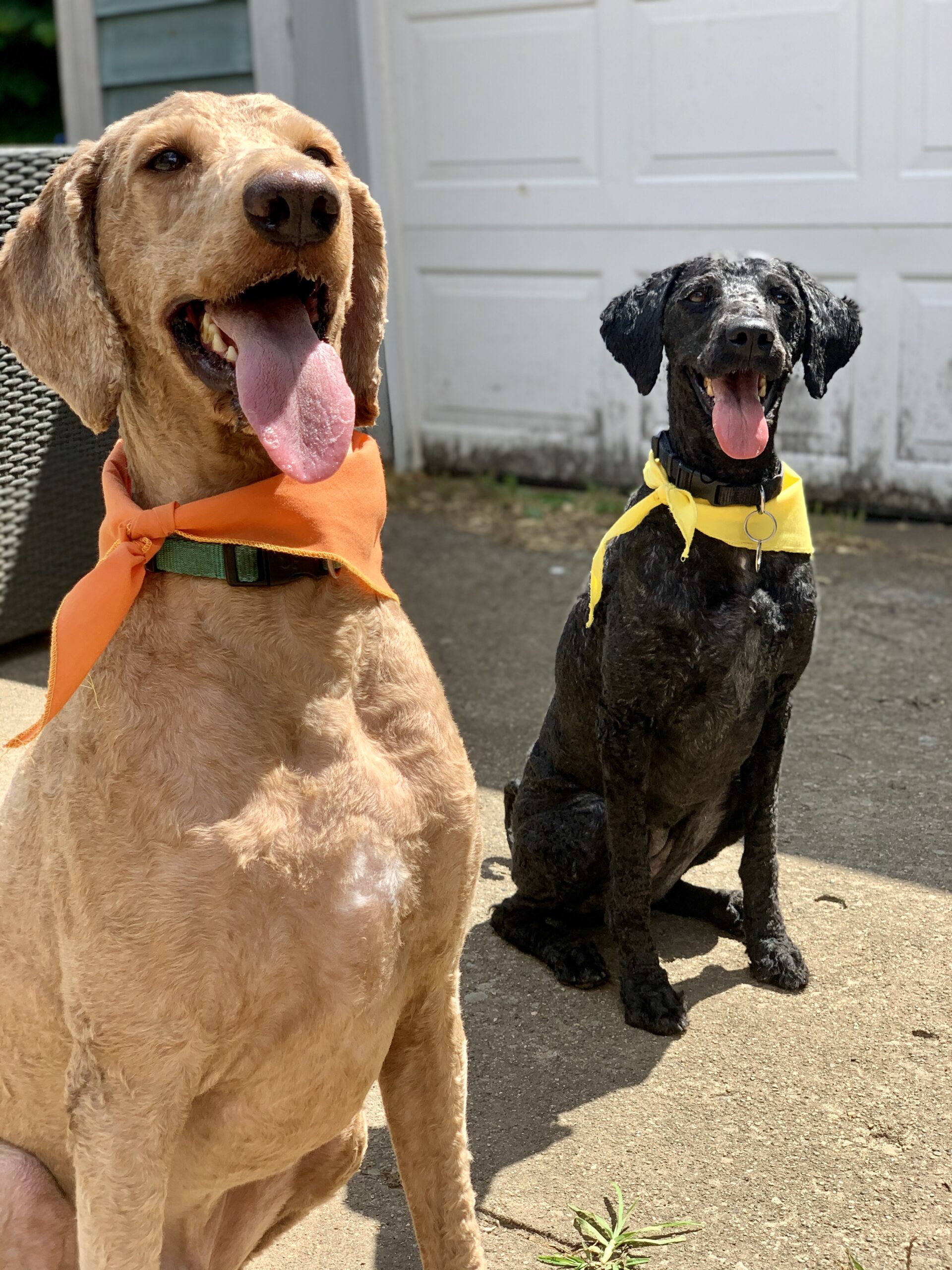 Carson and Maggie